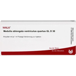MEDULLA OBLONGATA Ventriculus quartus GL D 30 Amp. Produktbild