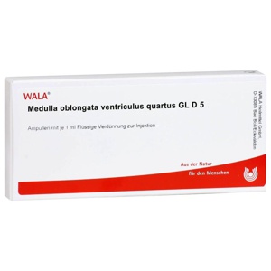 MEDULLA OBLONGATA Ventriculus quartus GL D 5 Amp. Produktbild