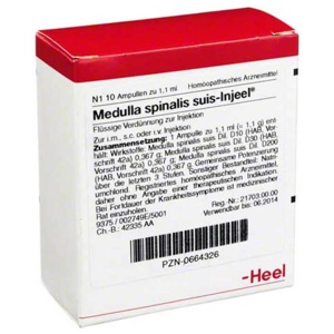 Medulla Spinalis suis Injeel Ampullen, 10 St Ampullen Produktbild