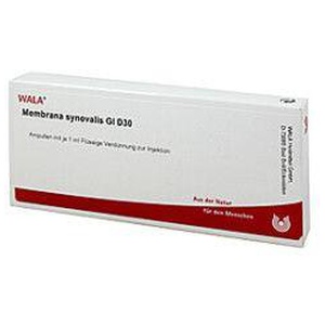 MEMBRANA synovialis GL D 30 Ampullen Produktbild
