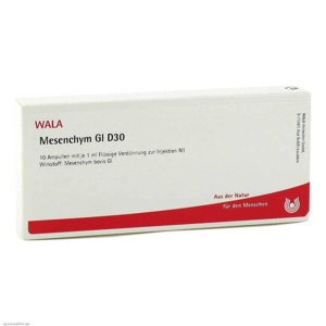 Mesenchym GL D 30 Ampullen, 10X1 ml Ampullen Produktbild