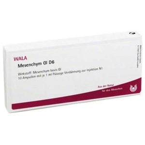 Mesenchym GL D 6 Ampullen, 10X1 ml Ampullen Produktbild