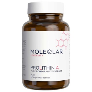 Moleqlar Prolithin A Kapseln (Urolithin A Vorläufer) Produktbild
