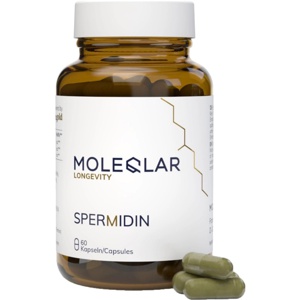 Moleqlar Spermidin Kapseln Produktbild