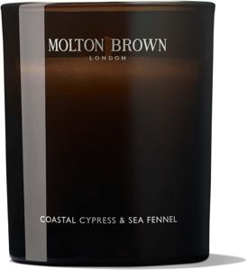 Coastal Cypress & Sea Fennel Signature Candle produkt bild