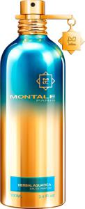 Montale Herbal Aquatica edp 100ml produkt bild
