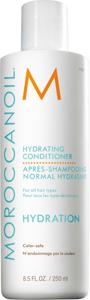 Hydrating Conditioner 250 ml produkt bild