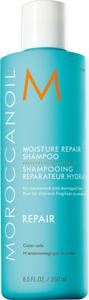 Moisture Repair Shampoo 250 ml produkt bild