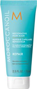 Restorative Hair Mask 75 ml produkt bild