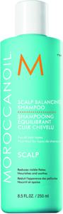 Moroccanoil Scalp Balancing Shampoo 250 ml produkt bild