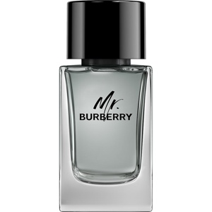 Mr. Burberry Eau de Toilette 100 ml produktbillede