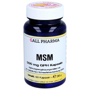 MSM 500 mg GPH Kapseln Produktbild