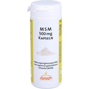 MSM KAPSELN 500 mg 100 St Kapseln Produktbild