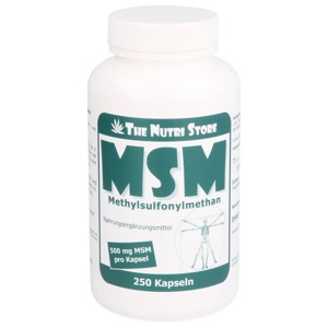MSM 500 mg Methylsulfonylmethan Kapseln Produktbild