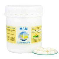MSM KAPSELN 1000 mg Produktbild
