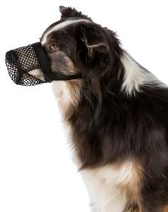Munkorg mot förgiftning för hund - Large produkt bild