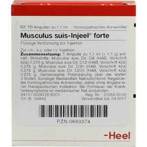 MUSCULUS SUIS Injeel forte Ampullen Produktbild
