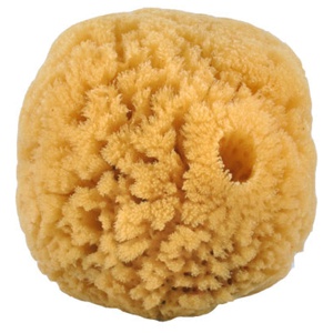 Croll og Denecke Natursvamp 10-12 cm - 1 stk. produktbillede