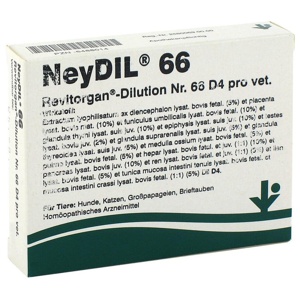 NEYDIL Nr.66 Revitorgan Dil.D 4 pro Ampullen vet. Produktbild