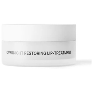 Niche Beauty Lab Overnight Restoring Lip Treatment 15 ml produkt bild