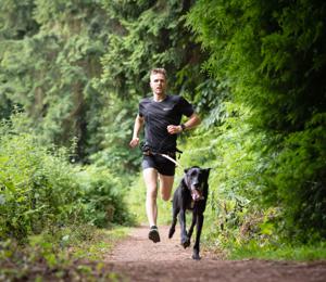 Non-stop Dogwear Canix 2.0 Hundförarbälte Svart (M) produkt bild