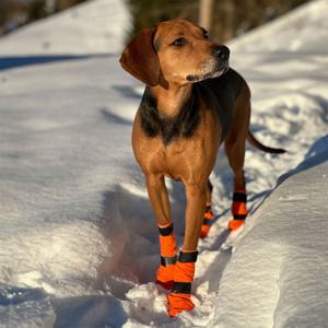 Non-stop dogwear Contact Bootie Hög Hundsko 4 st produkt bild