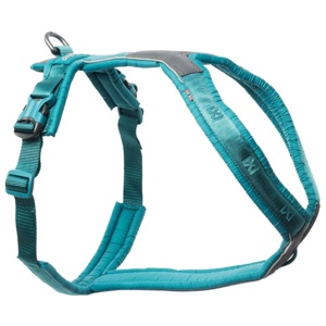 Non-Stop Dogwear Line Hundsele 5.0 Turkos produkt bild