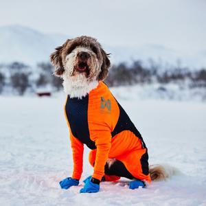 Non-stop Dogwear Protector Snow Hundoverall Hane Svart & Orange produkt bild