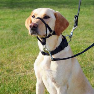 Nossele till Hund - XL produkt bild
