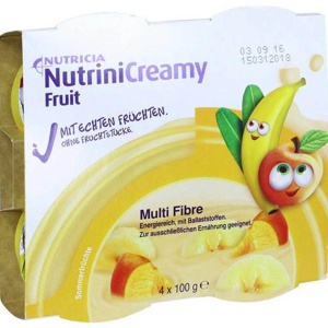 NUTRINI Creamy Fruit Sommerfrüchte Produktbild