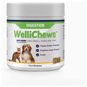 NutriScience Wellichews Digestion små hundar & katter produkt bild