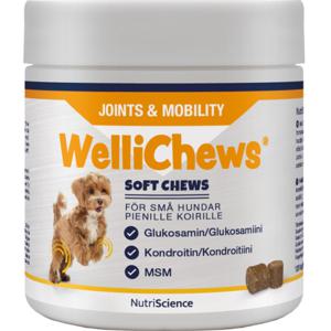 NutriScience Wellichews Joints & Mobility för små hundar produkt bild