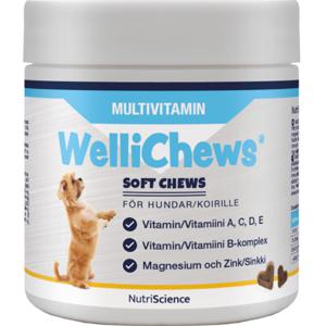NutriScience Wellichews Multivitamin Hund 60 tabletter produkt bild