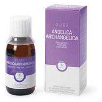 OLIGOPLANT Angelica Archangelica Produktbild