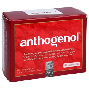 OPC ORIGINAL Masqueliers Anthogenol Kapseln Produktbild