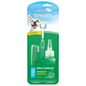 Oral Care Fresh Breath Kit M/l produkt bild