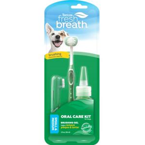 Oral Care Fresh Breath Kit S/m produkt bild