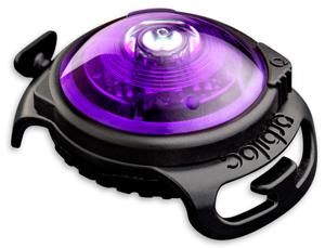 Safety Light - Lila produkt bild