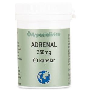 Örtspecialisten Adrenal 350 mg 60 kapslar produkt bild