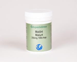 Örtspecialisten Malört 350mg 100 kapslar produkt bild
