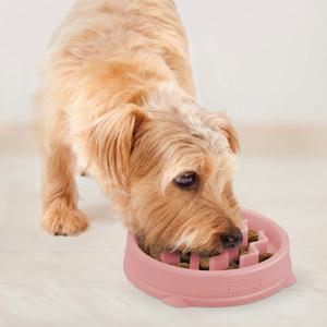 OUTWARD HOUND Oh Matskål Fun Feeder Slo-Bowl Rosa - XS / 180 ml produkt bild