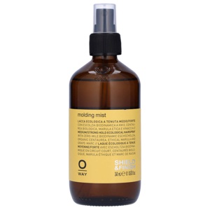 Oway Molding Mist 240 ml Produktbild
