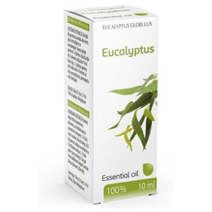 Paira eukalüptiõli 10ml toote pilt