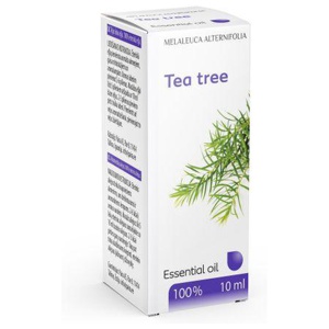 Paira teepuuõli 10ml toote pilt