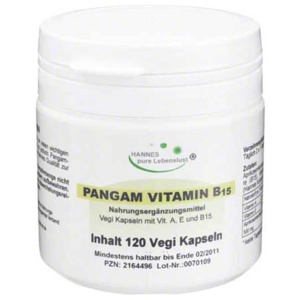 Pangam Vitamin B15 Kapseln, 120 St Kapseln Produktbild