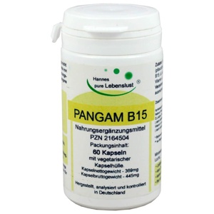 PANGAM Vitamin B15 Kapseln Produktbild