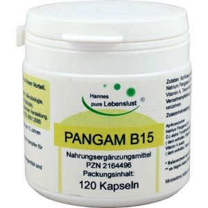 PANGAM Vitamin B15 Kapseln Produktbild
