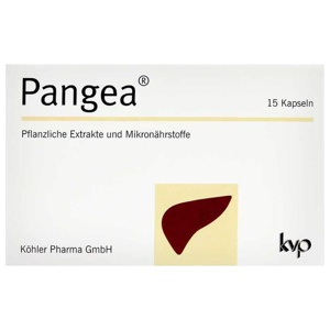 PANGEA Kapseln Produktbild