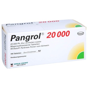 Pangrol 20000 magensaftresistente Tabletten, 100 St Tabletten magensaftresistent Produktbild