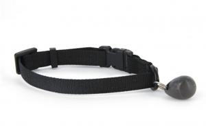 Magnetnyckel till lucka 88547 PetSafe produkt bild